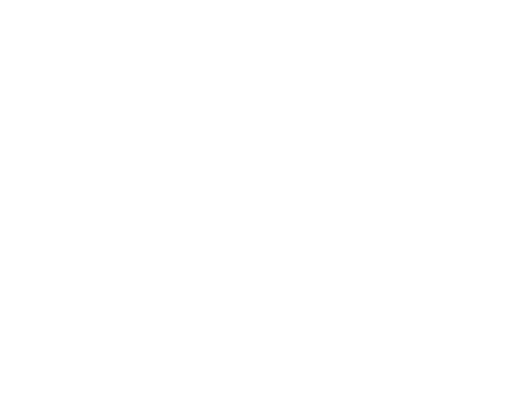 Accueil 1 logo feuille