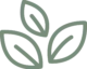 logo-icon-color feuille verte icon