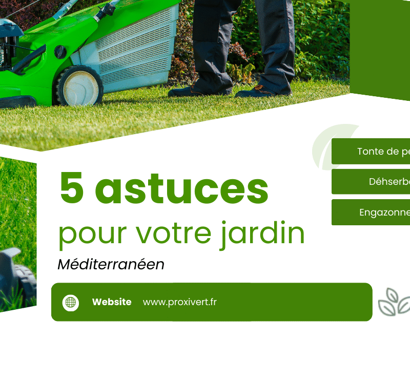 5 Astuces pour un Jardin Méditerranéen Résistant à la Sécheresse à Marseille