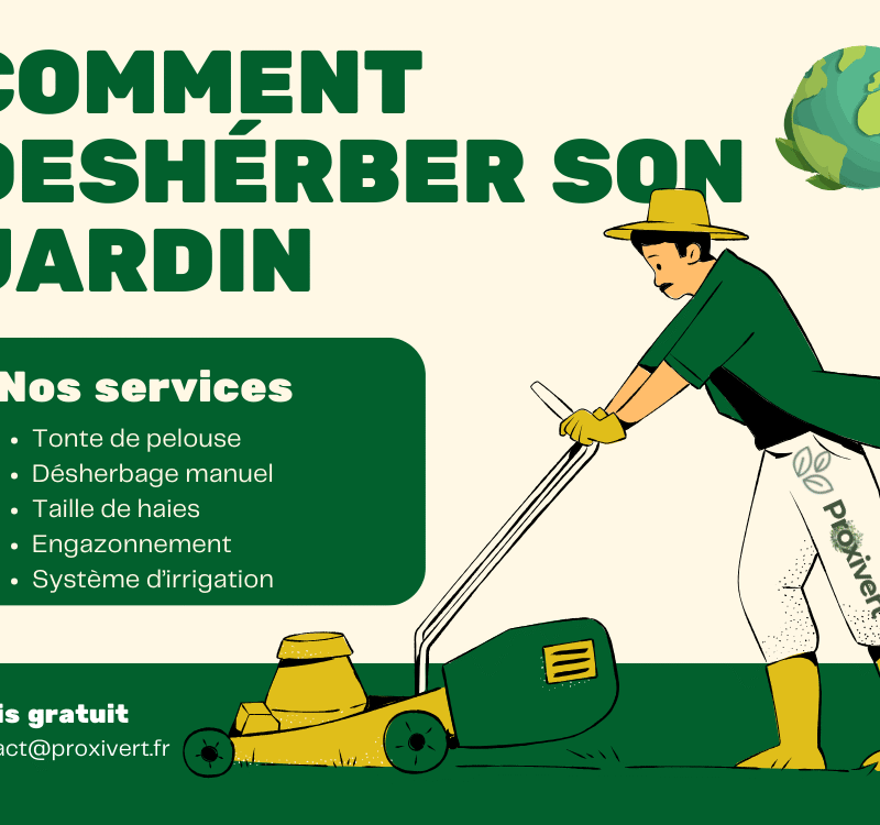 Comment Bien Désherber son Jardin Écologiquement ? Méthodes Pro